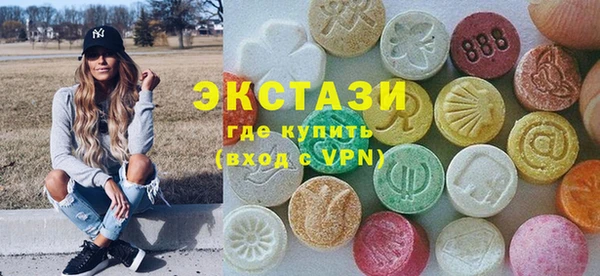 прущие грибы Новозыбков