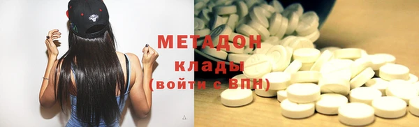прущие грибы Новозыбков
