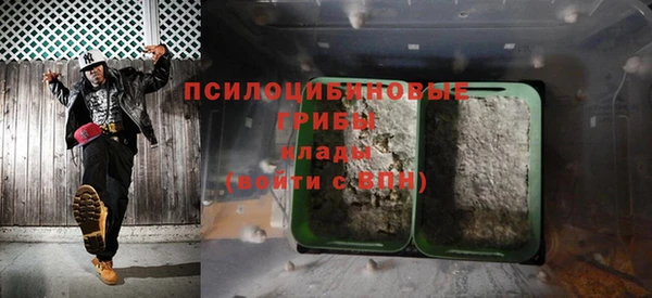 mdma Новодвинск