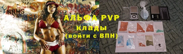 прущие грибы Новозыбков