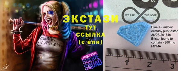 прущие грибы Новозыбков