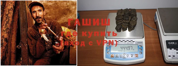 шишки Гусиноозёрск