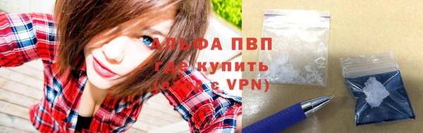 спиды Новокубанск