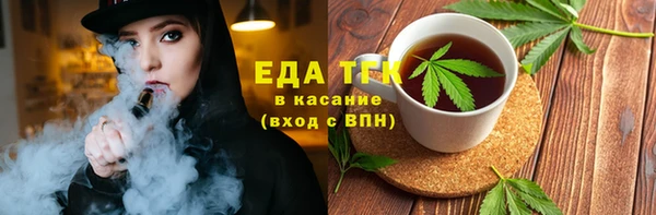 прущие грибы Новозыбков