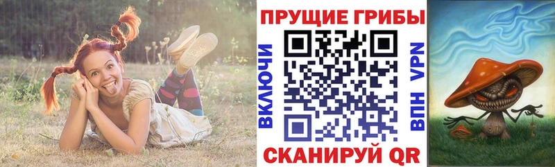 Псилоцибиновые грибы MAGIC MUSHROOMS  Новоалтайск 