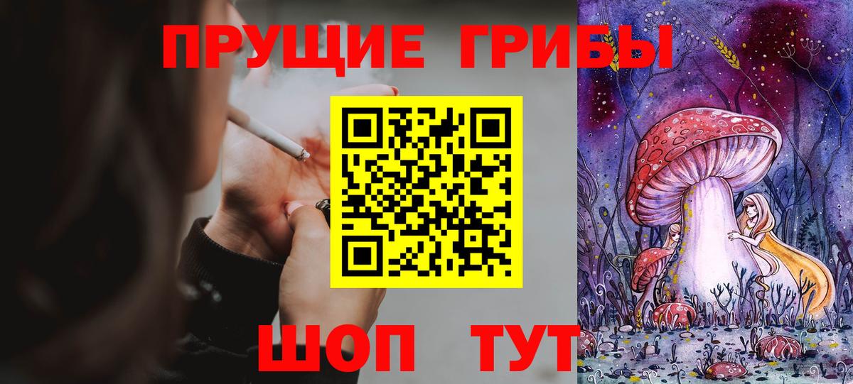 Галлюциногенные грибы прущие грибы Новоалтайск